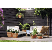 Terrassenszene mit Pflanzen in Töpfen, Gartenmöbeln und Holzwand