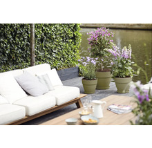 Blumentopf Elho Vibia Kunststoff 25 x 24,5 x 21 cm grün