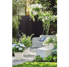 Blumentopf Elho Vibia Kunststoff 30 x 29,8 x 26 cm weiß