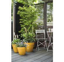 Blumentopf Elho Vibia Kunststoff 25 x 24,5 x 21 cm gelb