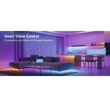GOVEE Smart LED Strip Basic RGBIC 5m