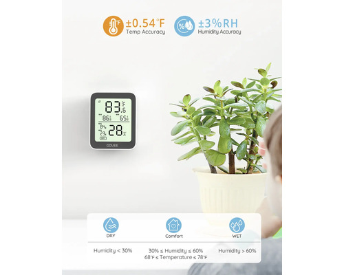 Digitales Thermometer und Hygrometer mit Temperatur- und Feuchtigkeitsanzeige neben einer Zimmerpflanze