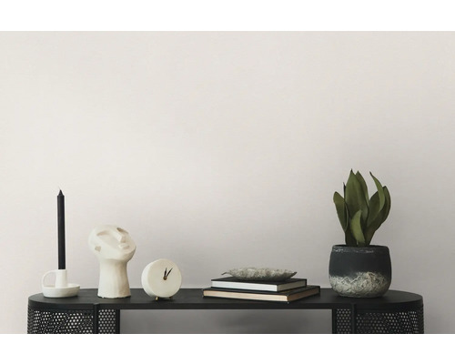 Dekorative Gegenstände auf einem schwarzen Regal