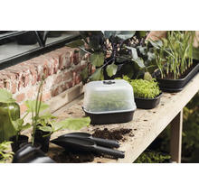 Anzuchttöpfe und Anzuchthaus mit Pflanzen auf einem Tisch für die Gartenarbeit