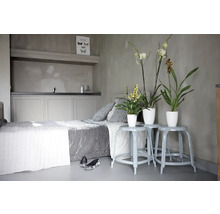 Schlafzimmer mit Bett, Nachttischen und Zimmerpflanzen