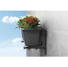 Blumenkastenhalter Verso Wall Kunststoff