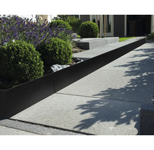Gartenszene mit Rasenkanten aus Metall zwischen Pflanzen und gepflastertem Weg