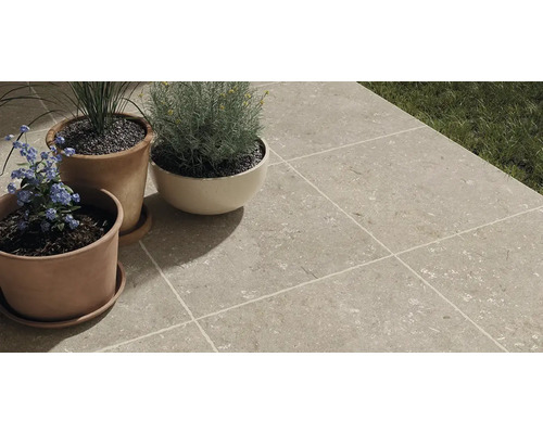 Terrasse mit hellgrauen Bodenfliesen und Pflanzen in Tontöpfen.