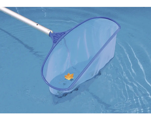 Poolkescher mit Blatt im Schwimmbad