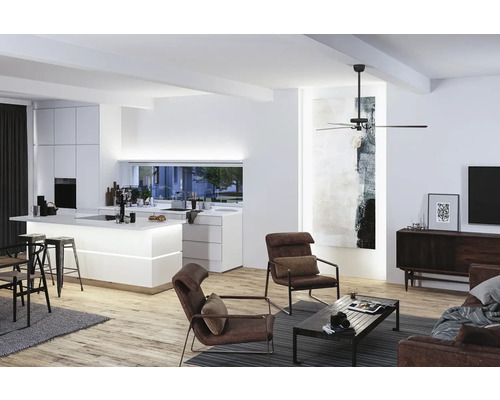 Helles Wohnzimmer mit Küche, Sesseln und Deckenventilator