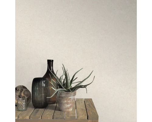 Dekorative Szene mit Zimmerpflanze, Flaschen und Kerze auf einem Holztisch vor einer Wand