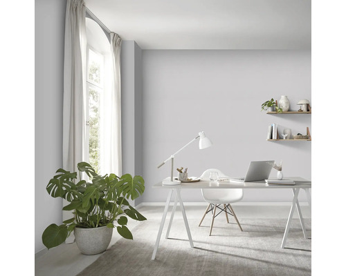 Helles Arbeitszimmer mit Schreibtisch, Stuhl, Pflanze und Wandregalen