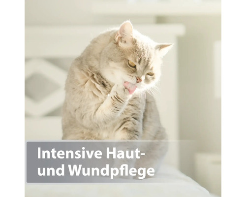 Eine Katze putzt sich. Intensive Haut- und Wundpflege
