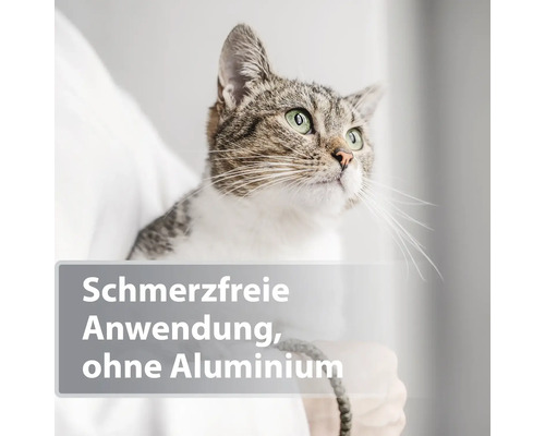 Katze wird gehalten, schmerzfreie Anwendung, ohne Aluminium