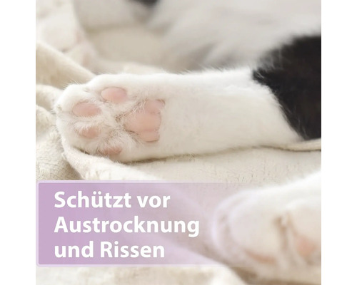 Pfote einer Katze auf einer Decke, schützt vor Austrocknung und Rissen