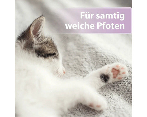 Schlafende Katze mit dem Text Für samtig weiche Pfoten
