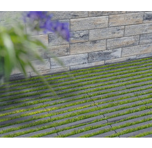 Bodenbelag mit Rasen und Mauer im Garten