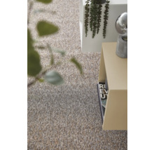 Teppichboden Schlinge Safia beige FB33 500 cm breit (Meterware)