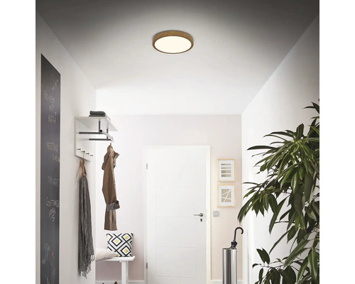 Flur mit Deckenleuchte, Garderobe, Spiegel und Zimmerpflanze