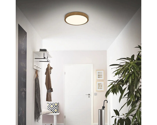 Flur mit Deckenleuchte, Garderobe, Spiegel und Pflanze für eine helle und freundliche Atmosphäre