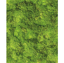 Vliestapete 45733 Struktura Moos grün