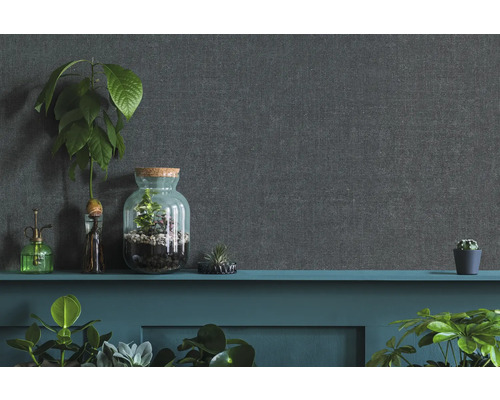 Dekorative Zimmerpflanzen auf einem Sims vor einer grauen Wand