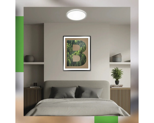 Schlafzimmer mit Bett, Nachttischen, Zimmerpflanze und Wandbild mit dem Buchstaben B.