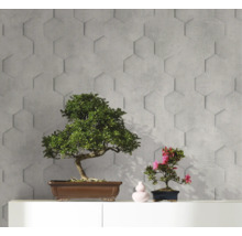 Wandgestaltung mit hexagonalen 3D-Wandpaneelen und zwei Bonsai-Bäumen auf einer weißen Kommode