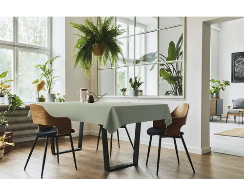 Heller Essbereich mit Tisch, Stühlen und Zimmerpflanzen für eine freundliche Atmosphäre