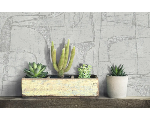 Dekorative Sukkulenten auf einem Holzregal vor einer gemusterten Tapete