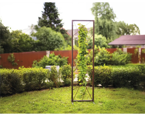 Kletterhilfe aus Metall mit Pflanze im Garten