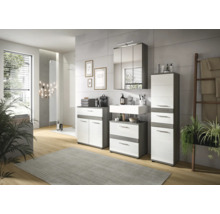 Badezimmer mit Waschtisch, Spiegelschrank und Hochschrank in modernem Design