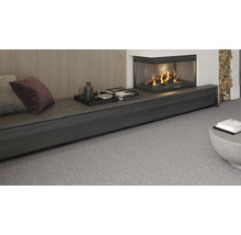 Wohnzimmer mit Kamin, Dekoration und grauem Teppichboden.
