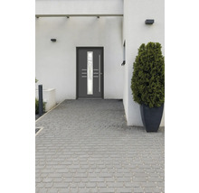 Modernes Haus mit Haustür, Pflastersteinen und Pflanze im Topf