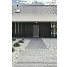 Fassade eines modernen Hauses mit Haustür und gepflastertem Weg