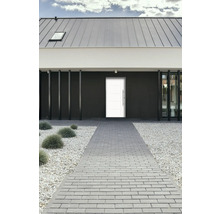 Moderne Hausfassade mit Haustür und gepflastertem Weg