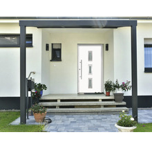 Eingangsbereich eines Hauses mit Haustür, Stufen und Pflanzen