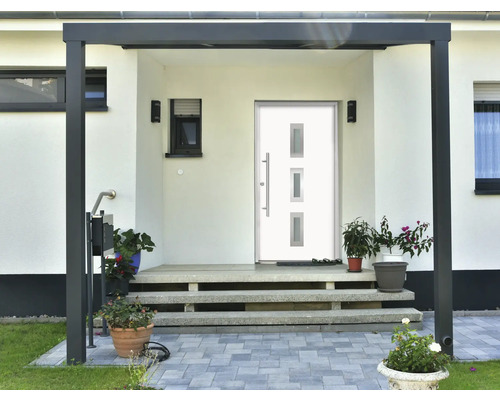 Eingangsbereich eines Hauses mit Haustür, Stufen und Pflanzen