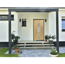 Eingangsbereich eines Hauses mit Haustür, Stufen und Pflanzen