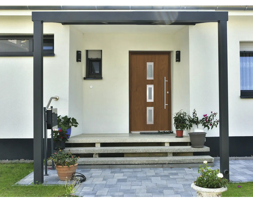 Überdachter Eingangsbereich mit Haustür, Treppe und Bepflanzung