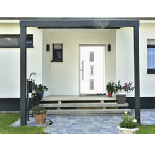 Eingangsbereich eines Hauses mit Haustür, Stufen und Pflanzenkübeln