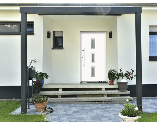 Eingangsbereich eines Hauses mit Haustür, Stufen und Pflanzenkübeln