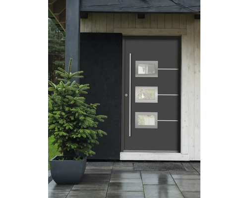 Moderne Haustür mit Glaseinsätzen und seitlichem Pflanzkübel.