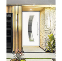 Moderne Haustür mit Glaseinsatz und Edelstahlgriff