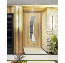 Moderne Haustür mit Glaseinsatz und Edelstahlgriff