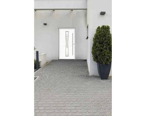 Moderne Hausfassade mit Eingangstür, gepflastertem Weg und Zierpflanze im Topf