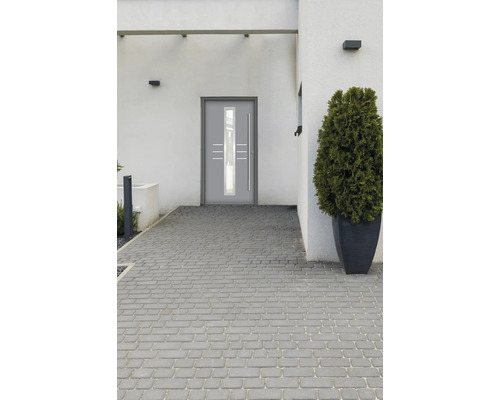 Moderne Haustür mit Glaseinsatz und Pflanze vor einem Haus