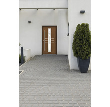 Eingangsbereich eines Hauses mit Pflastersteinen und einer Haustür mit Glaseinsatz