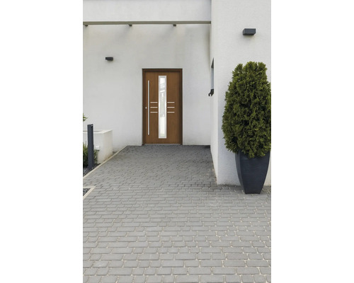 Eingangsbereich eines Hauses mit Pflastersteinen und einer Haustür mit Glaseinsatz