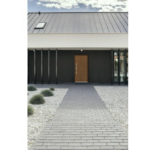 Hausfassade mit Haustür, gepflastertem Weg und Steinen